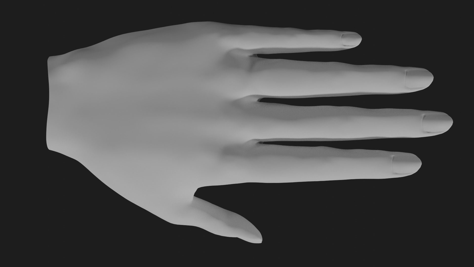 Female hand  Free 3D model_13