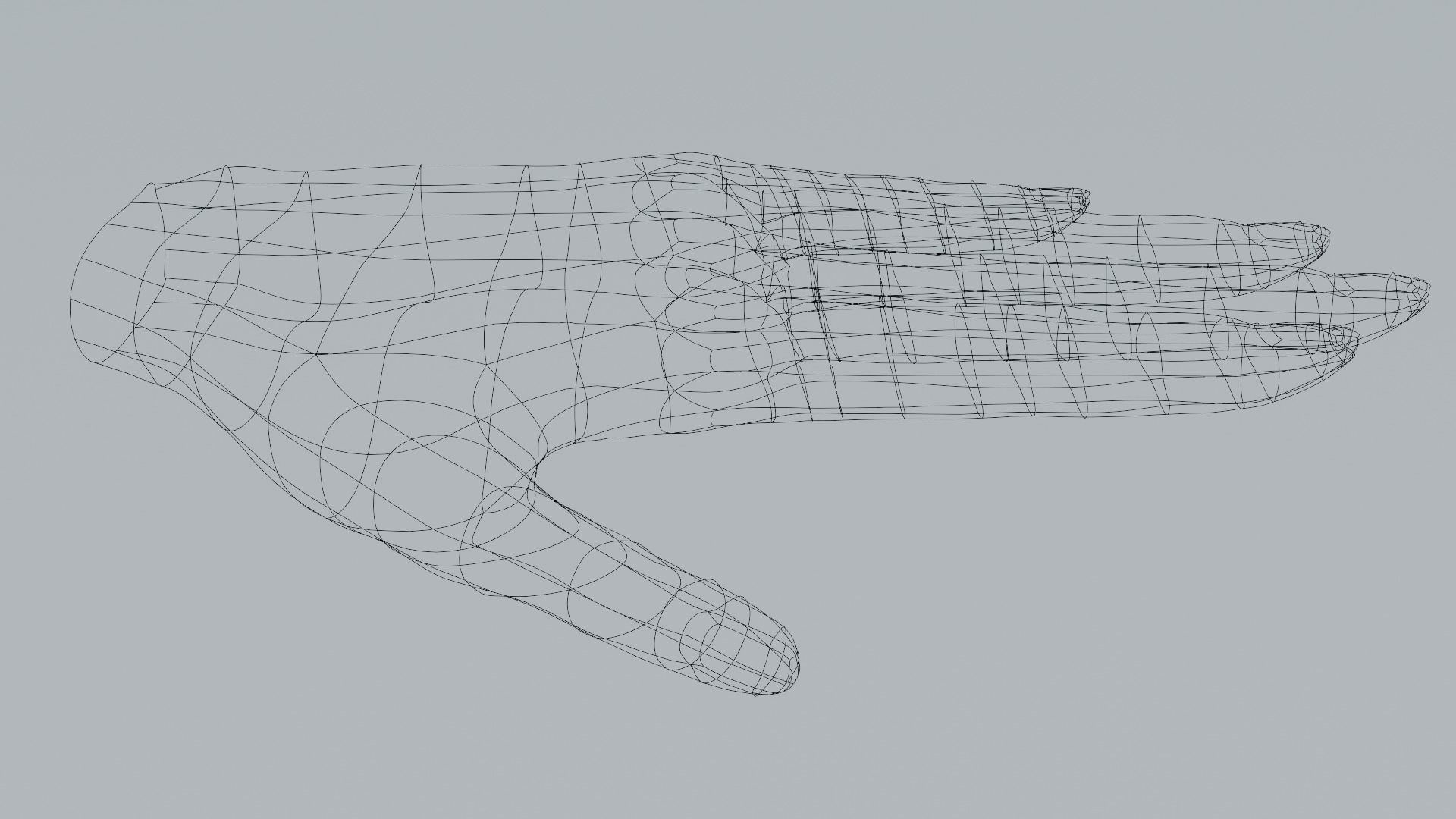 Female hand  Free 3D model_11