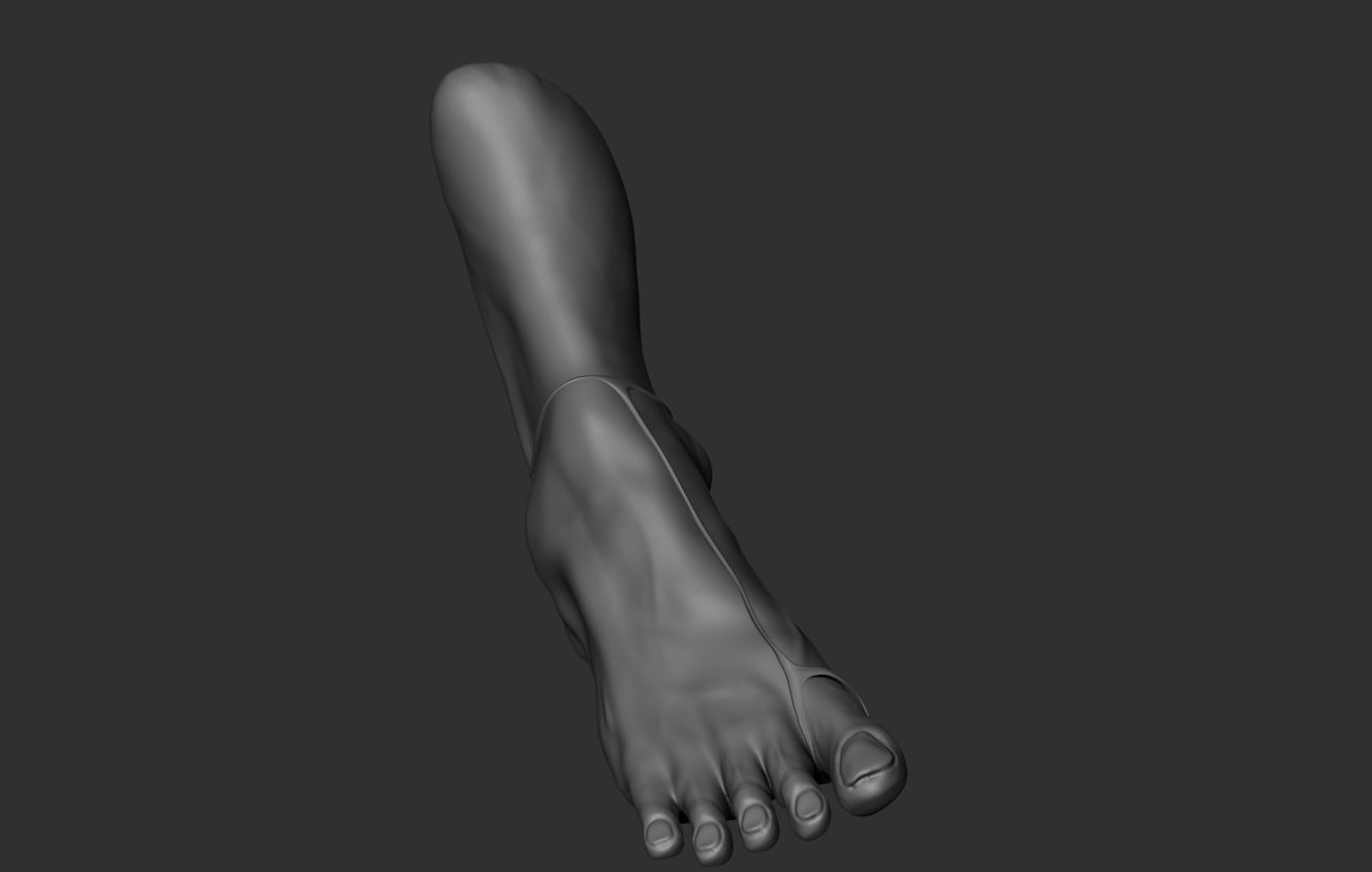 Female Foot Sculpt 3D model_2