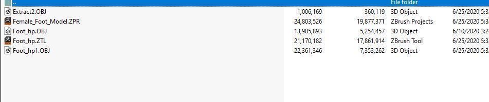 Female Foot Sculpt 3D model_5