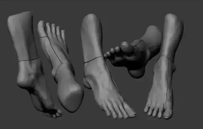 Female Foot Sculpt 3D model Female Foot Sculpt 3D model