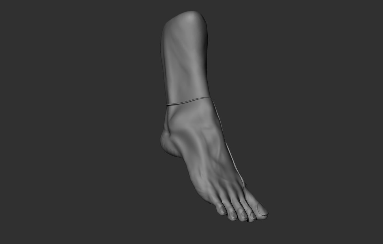 Female Foot Sculpt 3D model_3