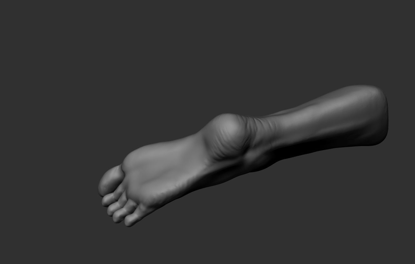 Female Foot Sculpt 3D model_6