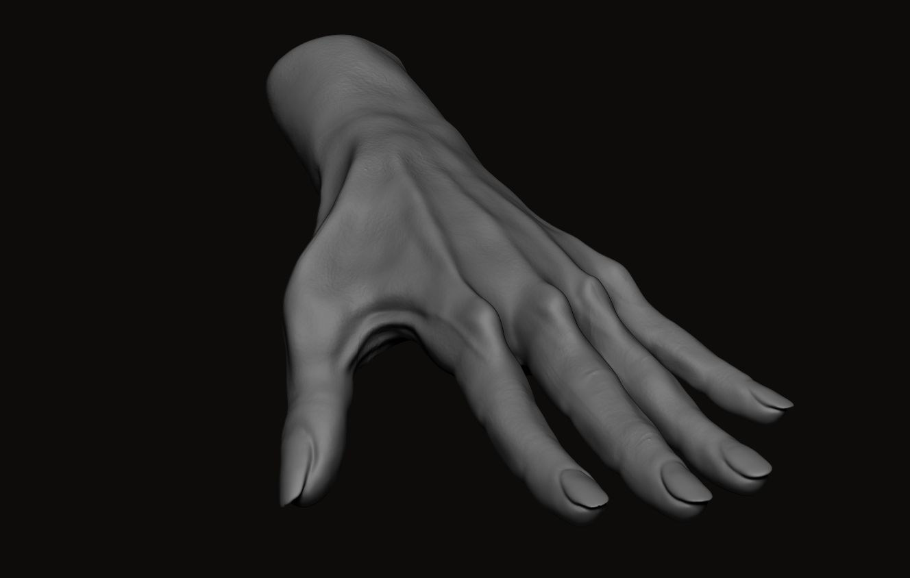 Female Hand Sculpt 3D model_2