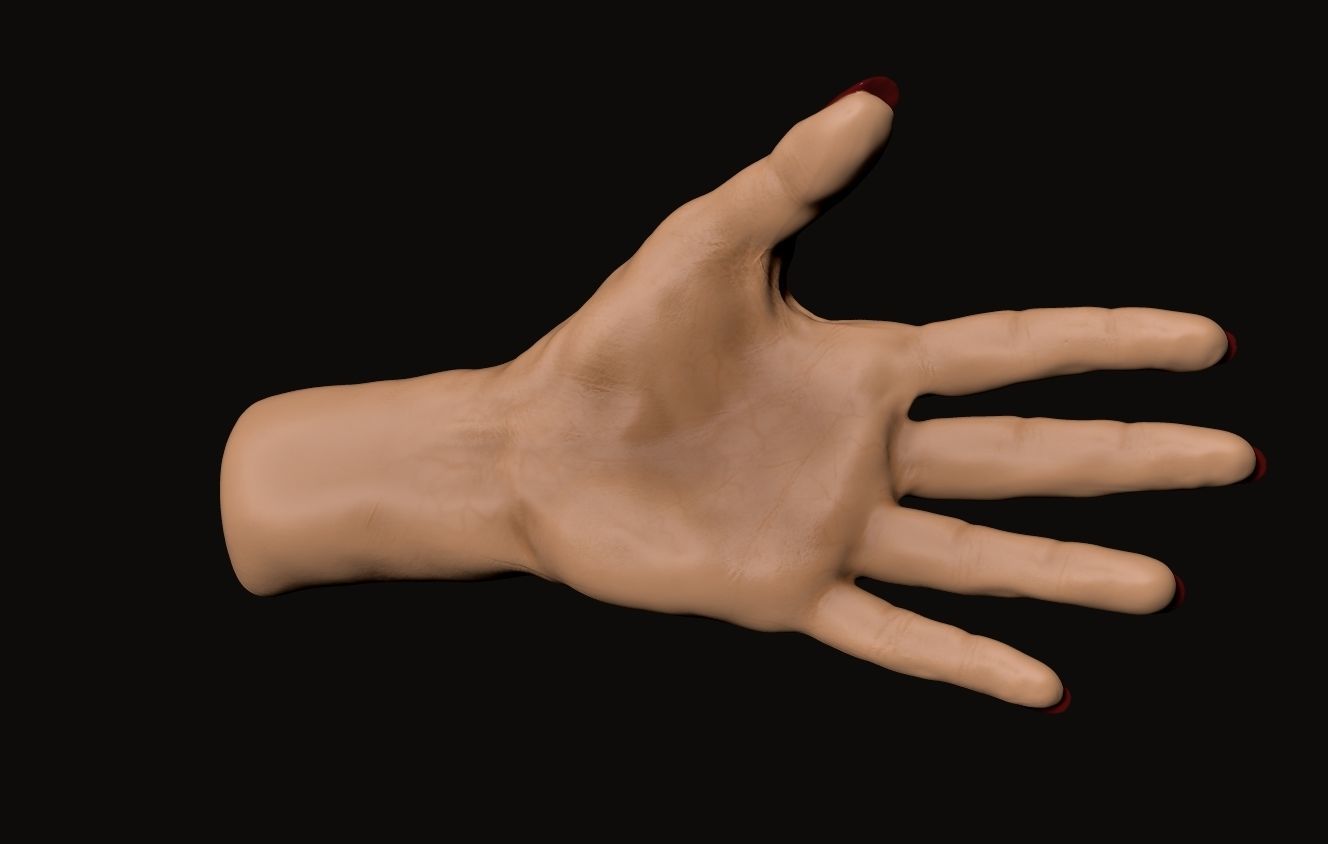 Female Hand Sculpt 3D model_7