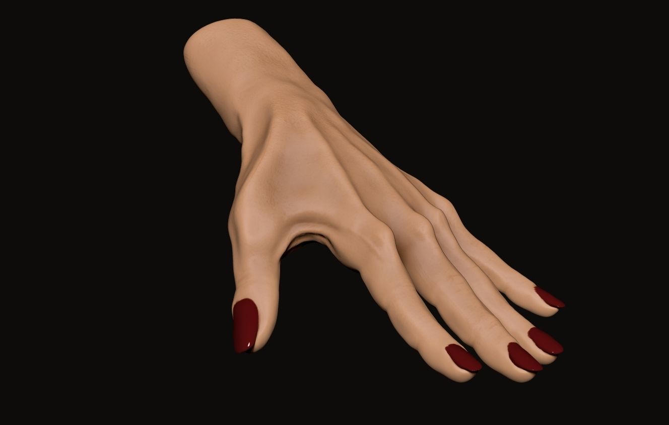 Female Hand Sculpt 3D model_3