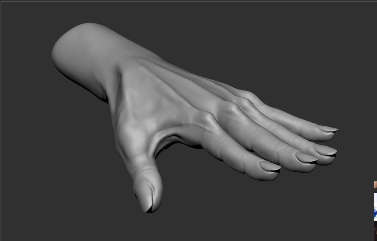Female Hand Sculpt 3D model_4