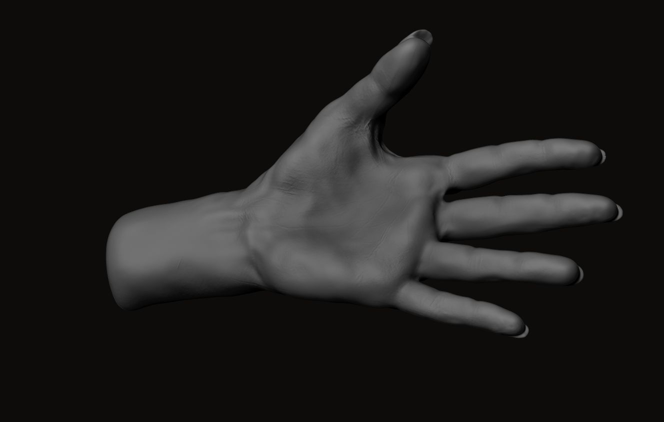 Female Hand Sculpt 3D model_6