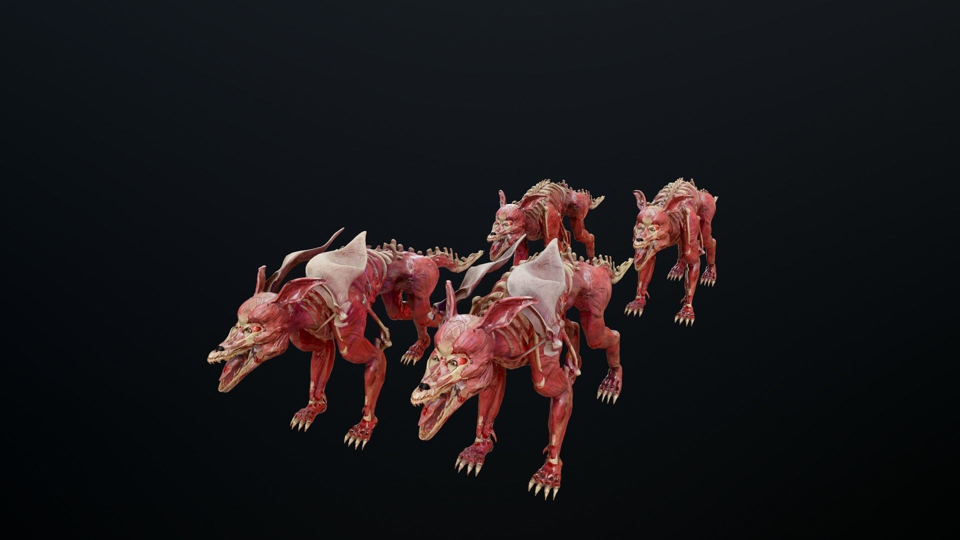 Dog mutant Low-poly 3D model_1