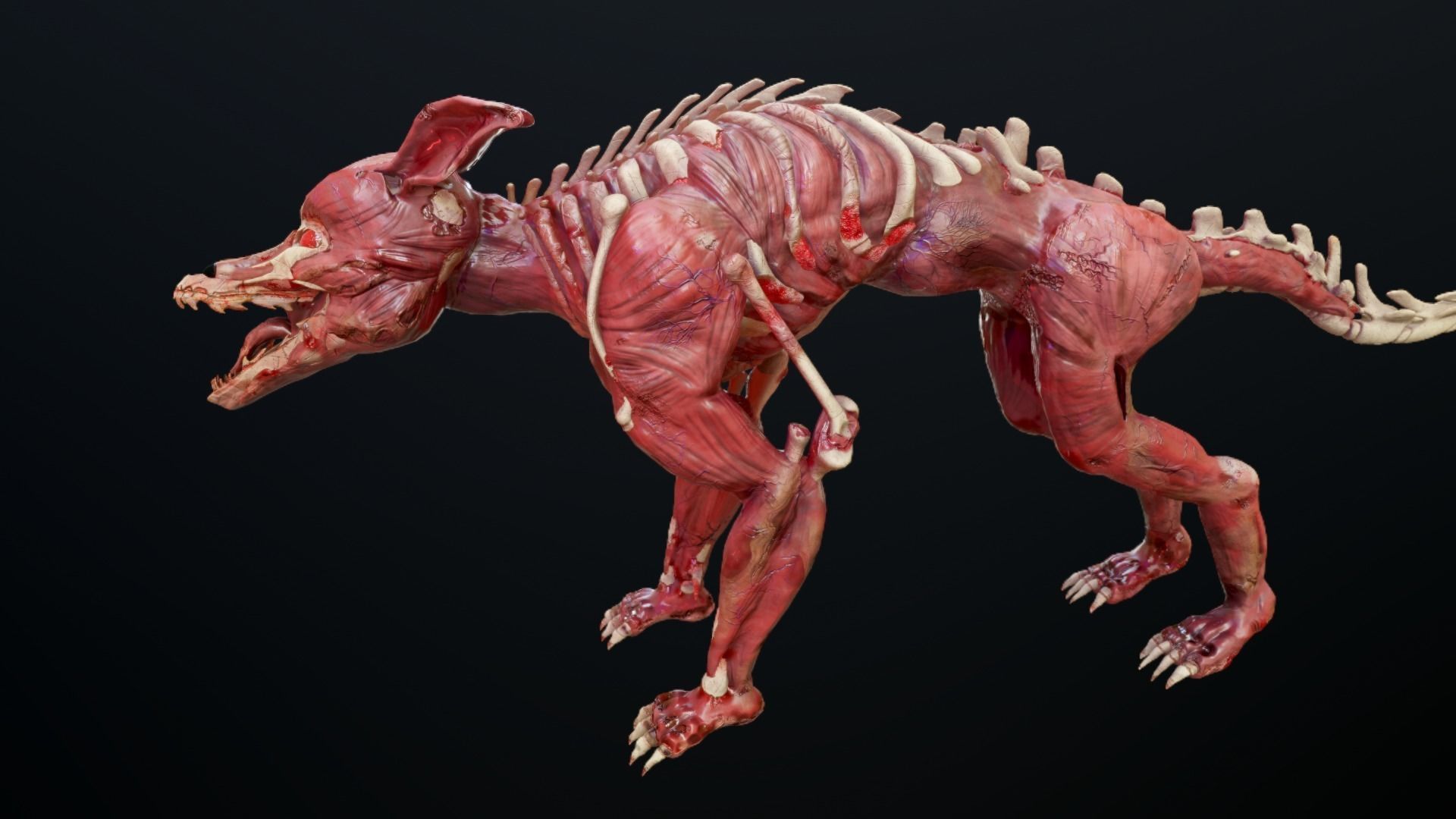 Dog mutant Low-poly 3D model_7