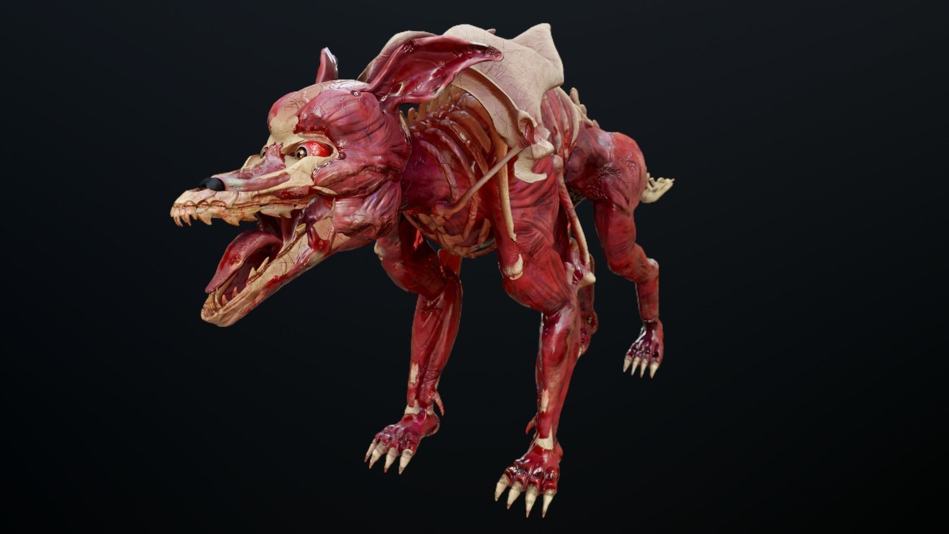 Dog mutant Low-poly 3D model_2