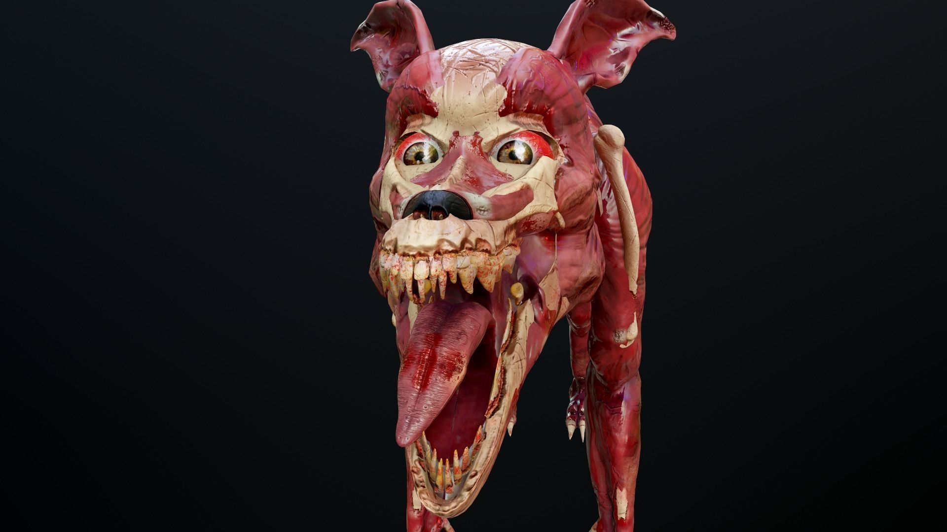 Dog mutant Low-poly 3D model_10