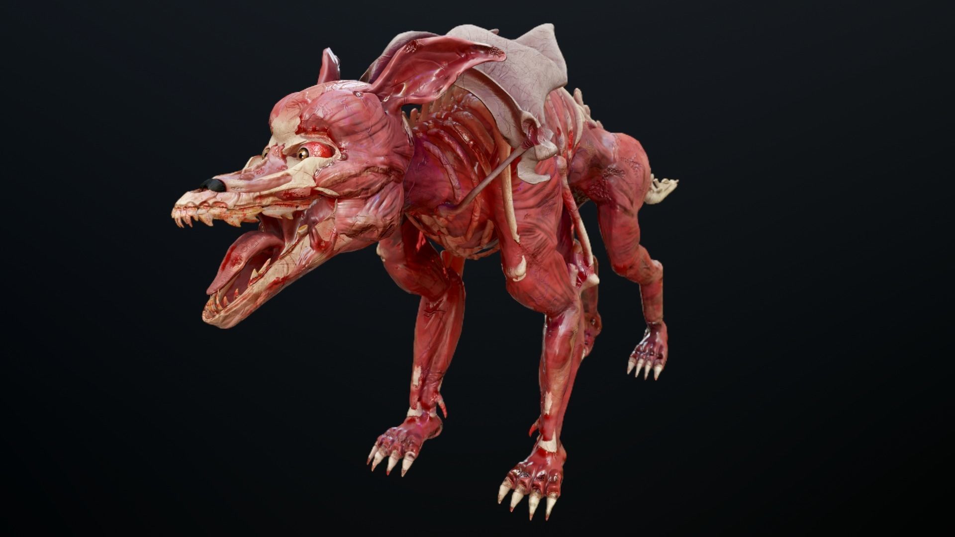 Dog mutant Low-poly 3D model_3