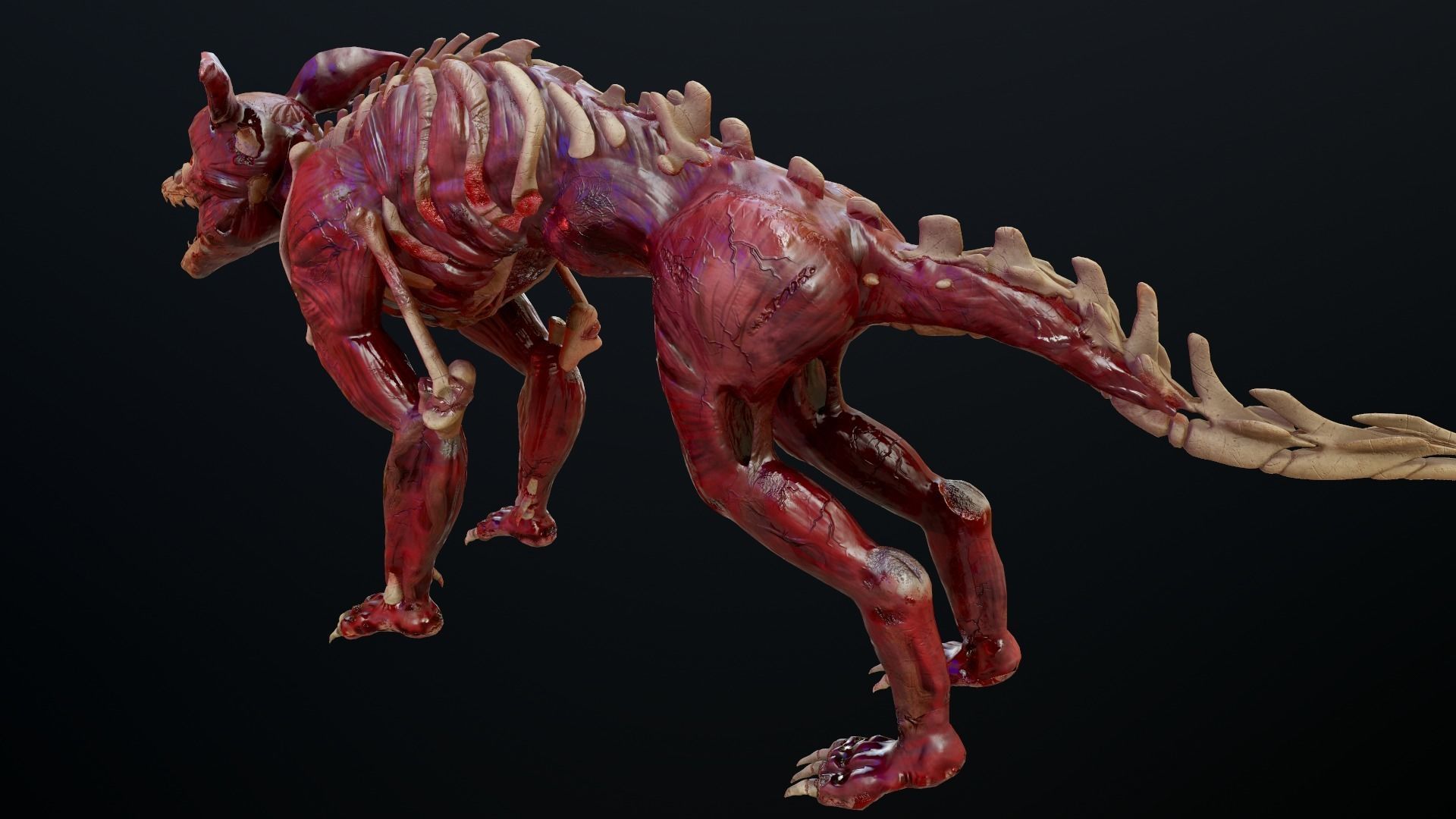 Dog mutant Low-poly 3D model_9