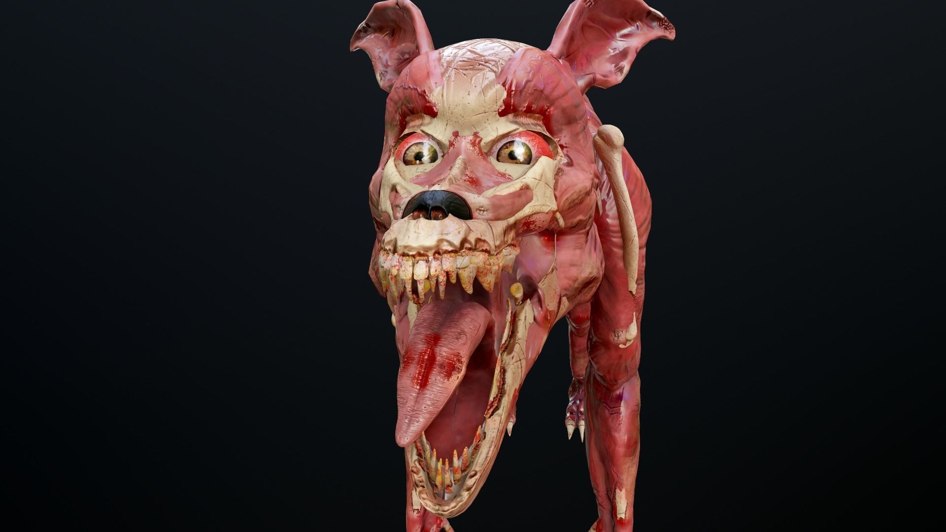 Dog mutant Low-poly 3D model_11