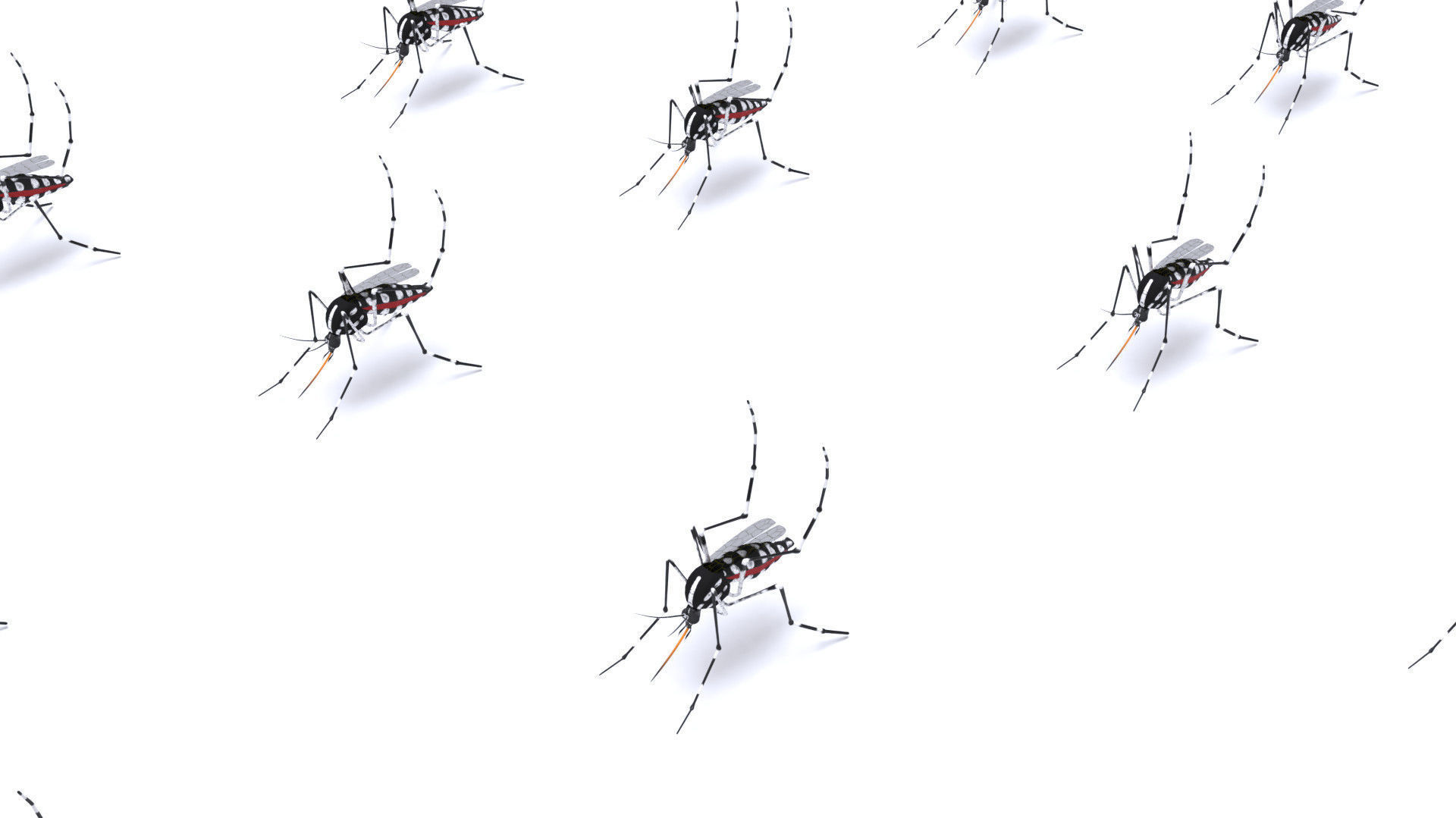 Mosquito - textured 3D model_5