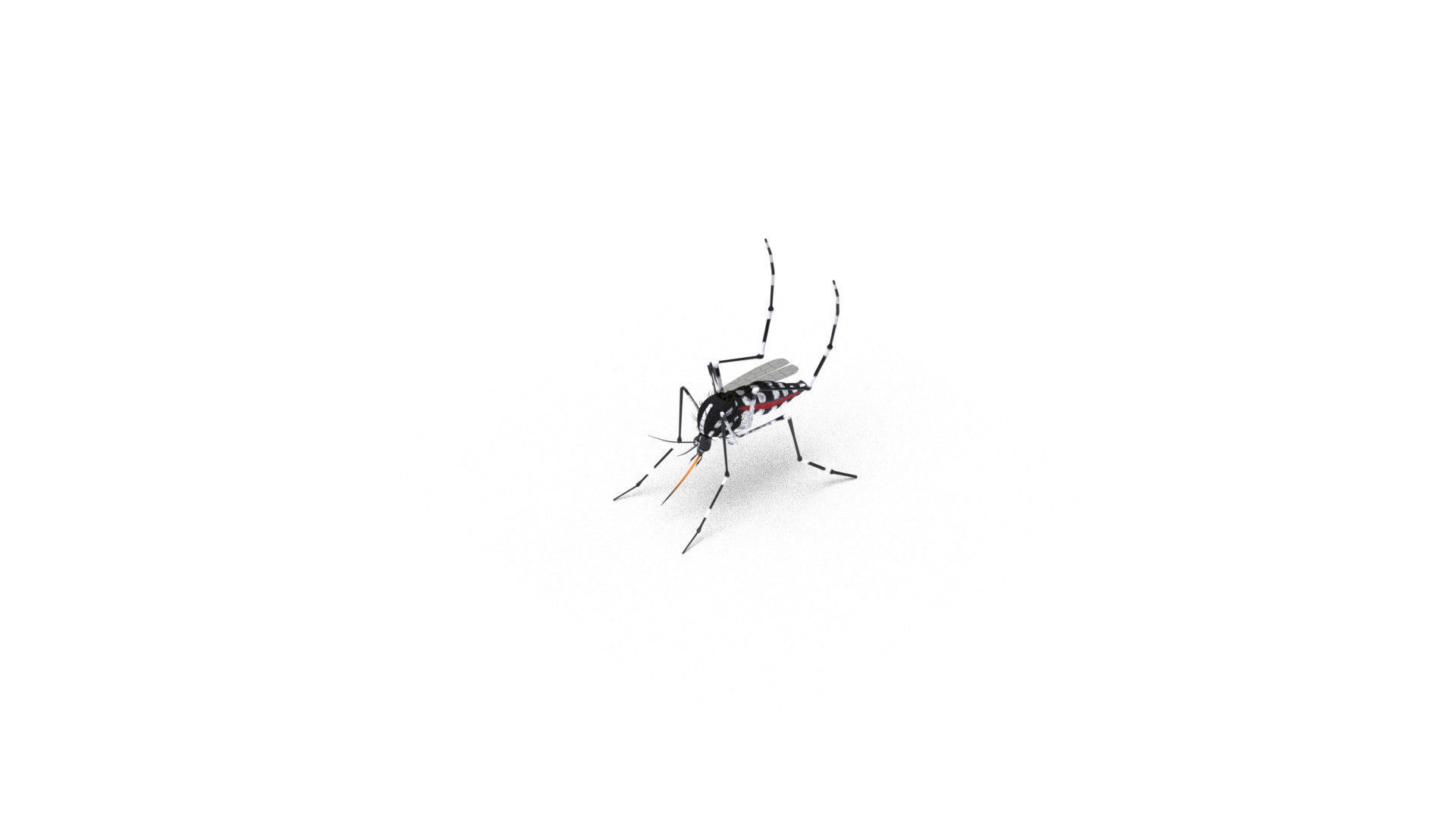 Mosquito - textured 3D model_9