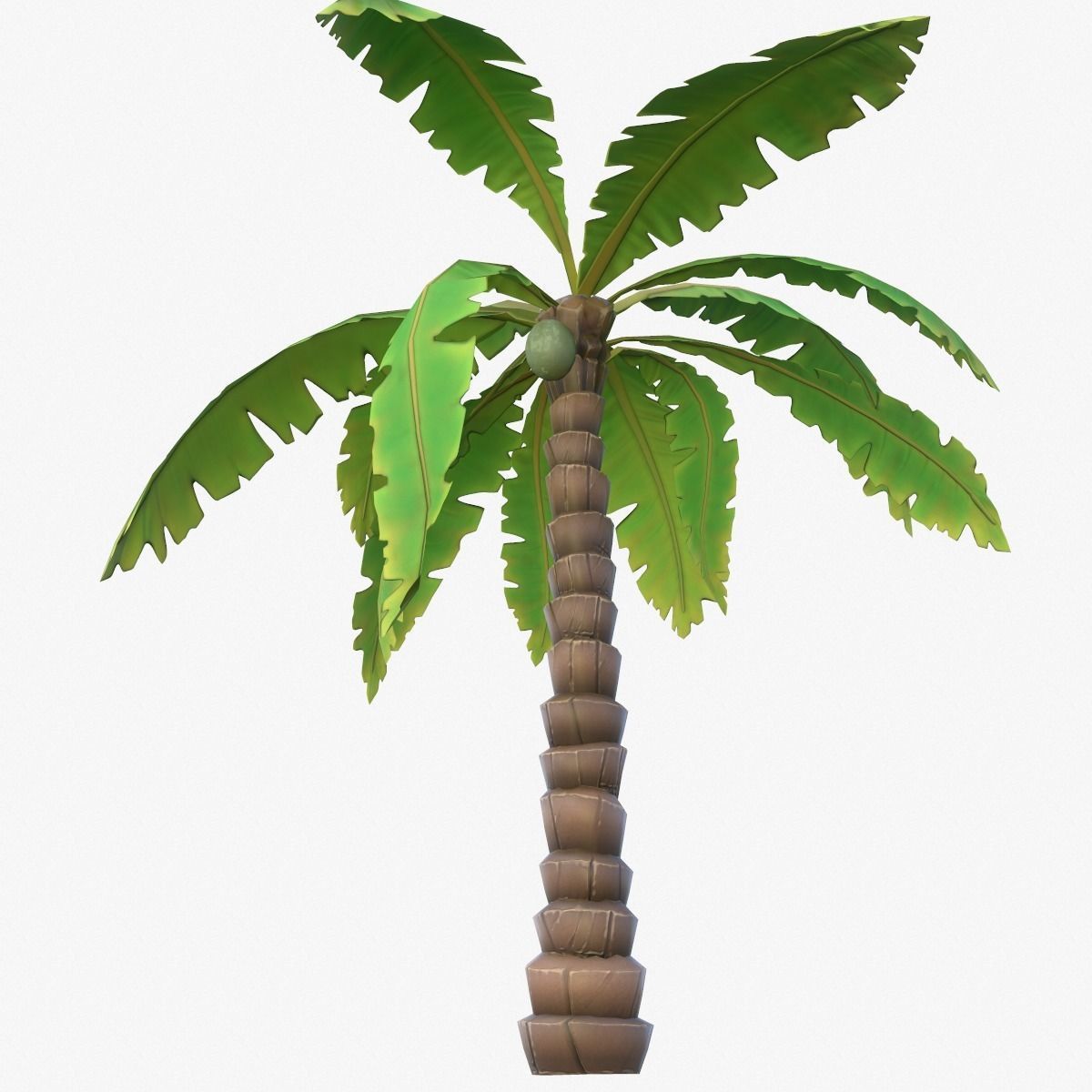Cartoon Palm Tree Low-poly 3D model_4