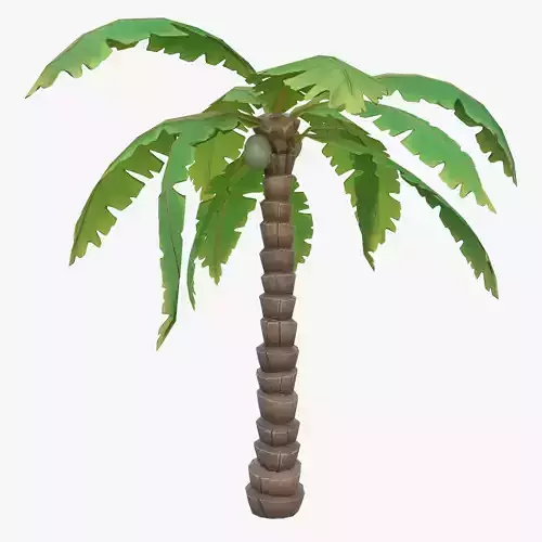 Cartoon Palm Tree