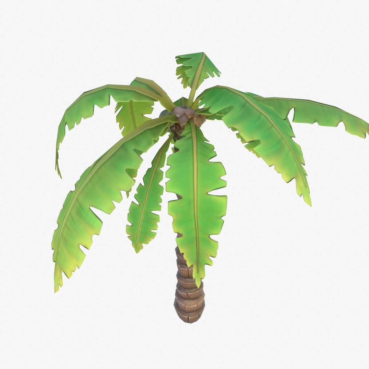 Cartoon Palm Tree Low-poly 3D model_3