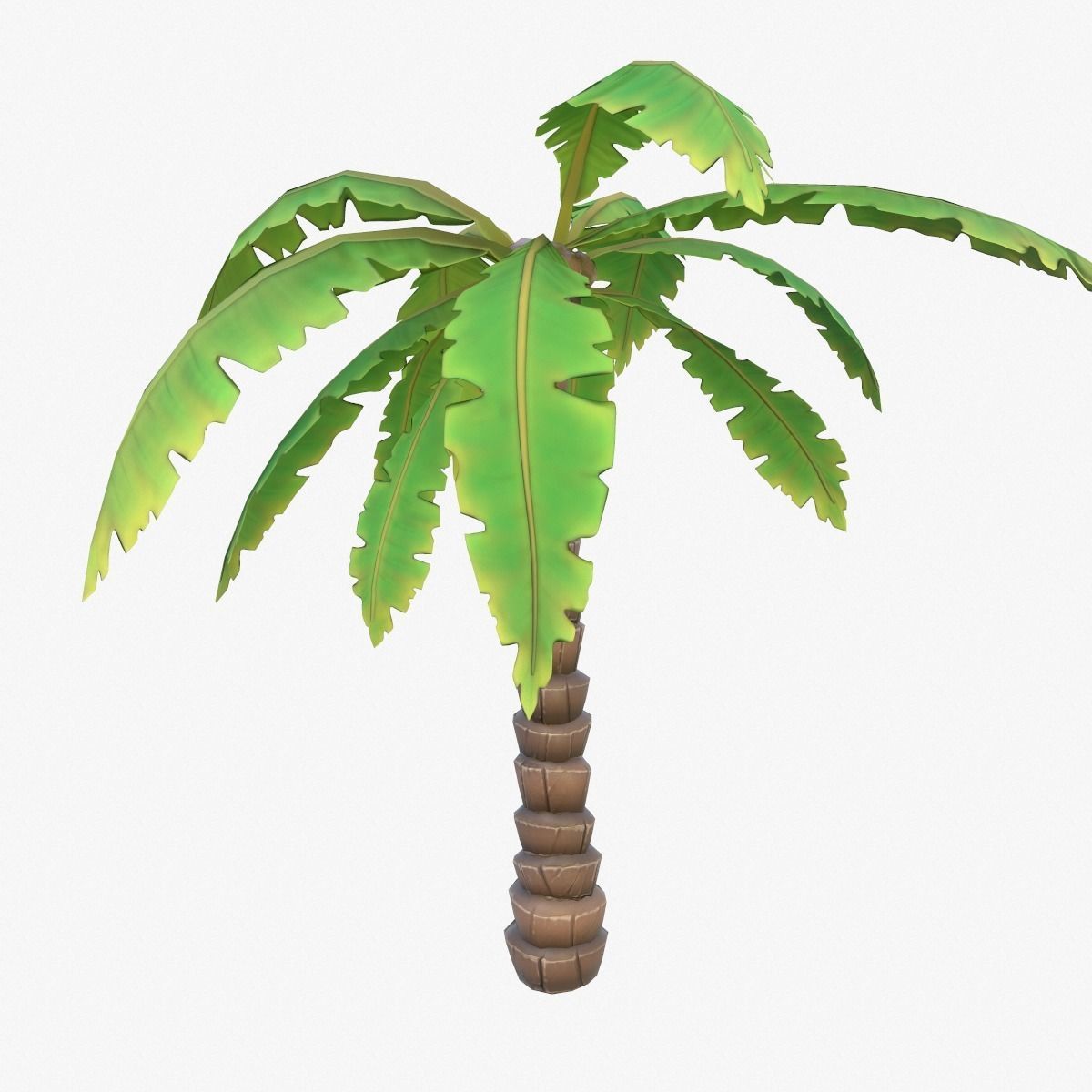 Cartoon Palm Tree Low-poly 3D model_2