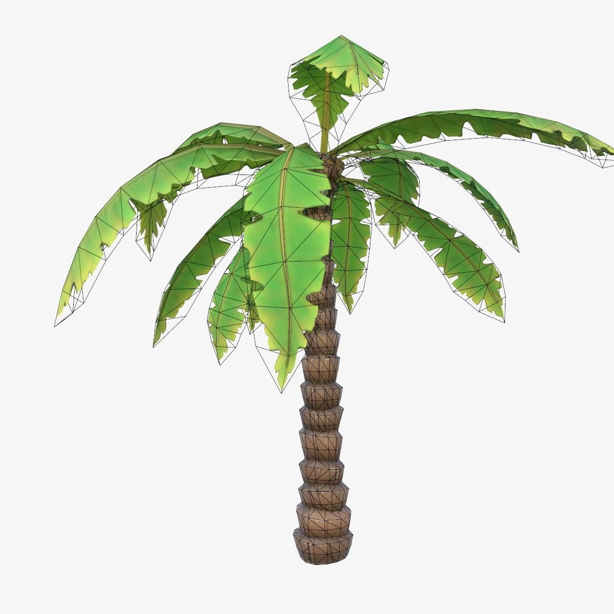 Cartoon Palm Tree Low-poly 3D model_8
