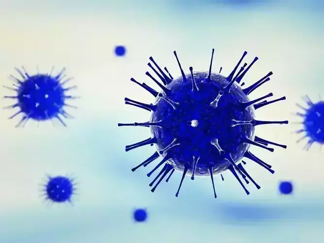 Zika virus 3D model