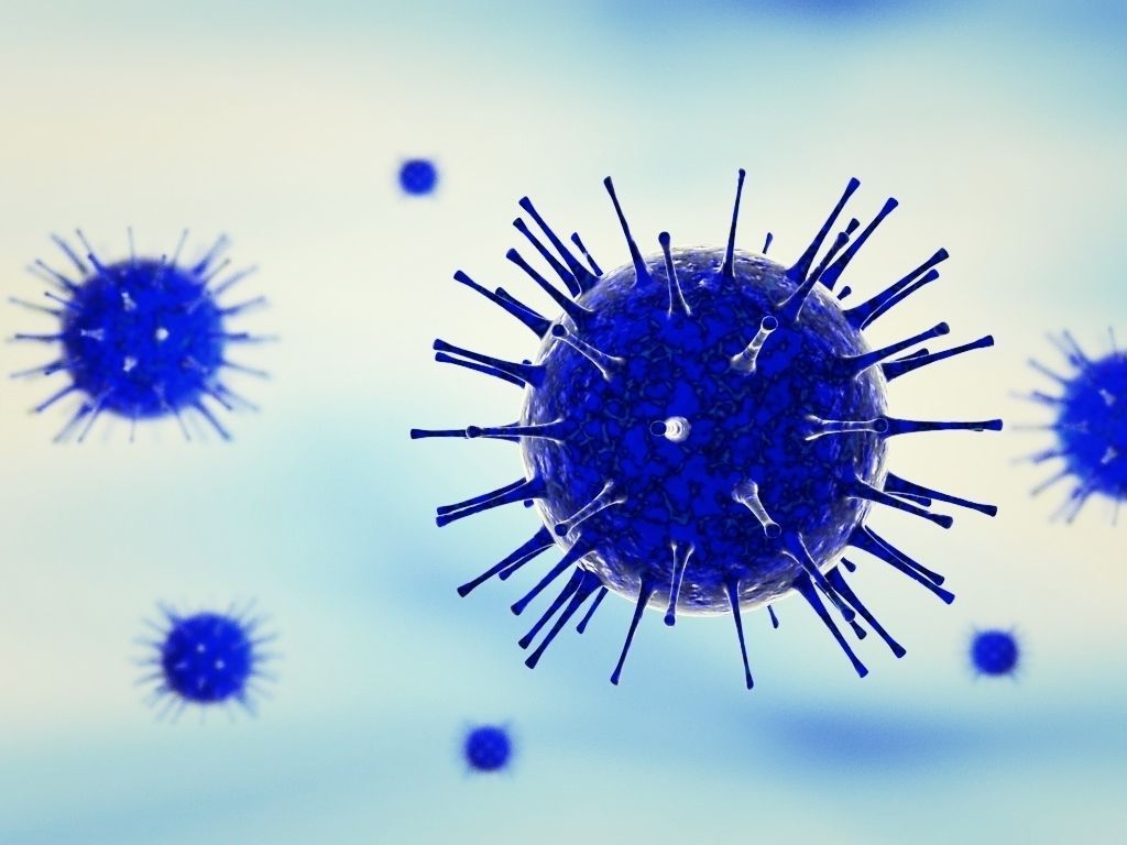 Zika virus