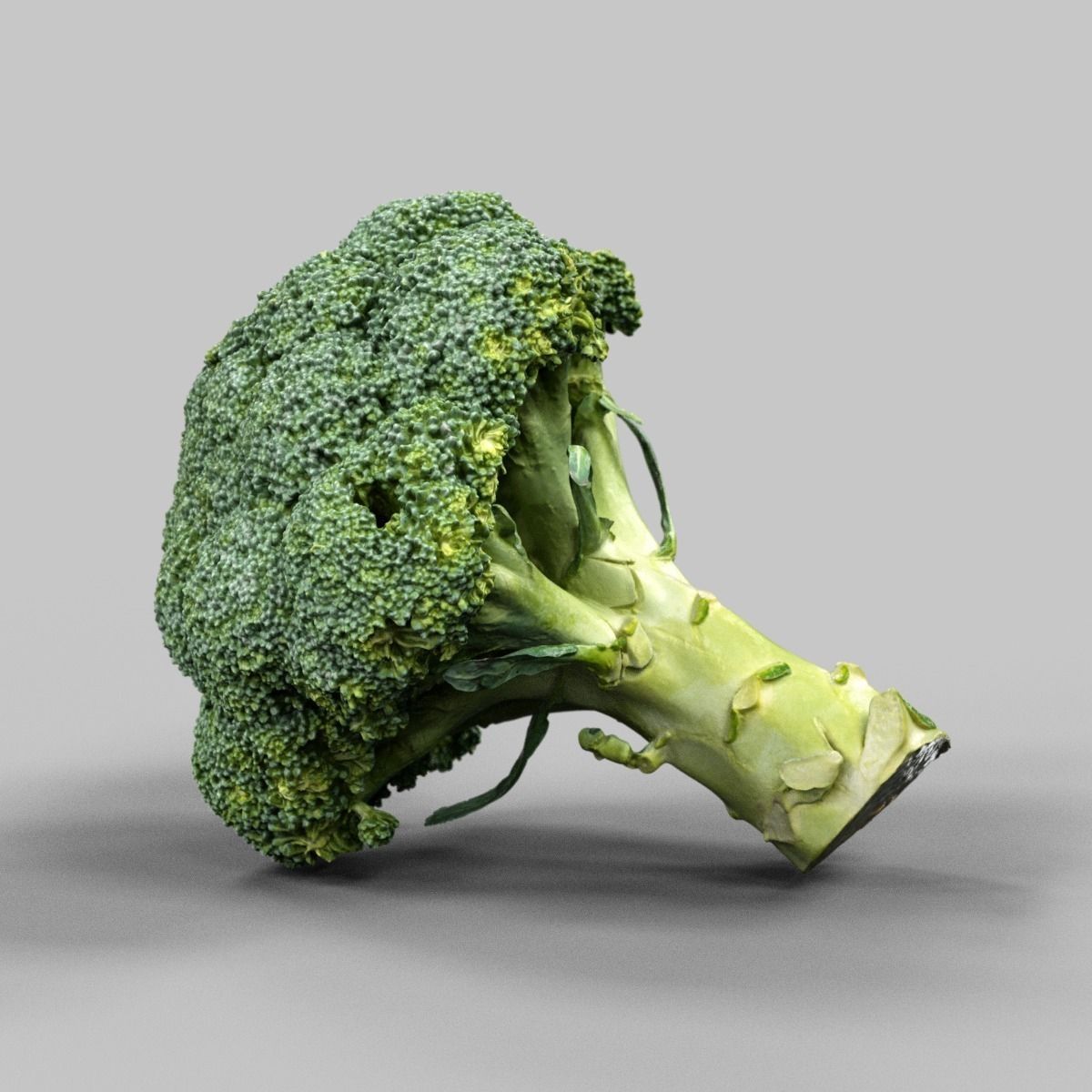 6 Vegetables piece of broccoli Low-poly 3D model_1