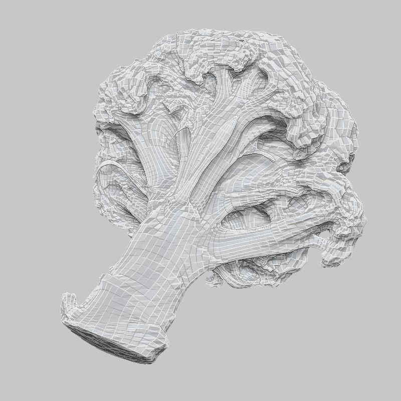 6 Vegetables piece of broccoli Low-poly 3D model_2