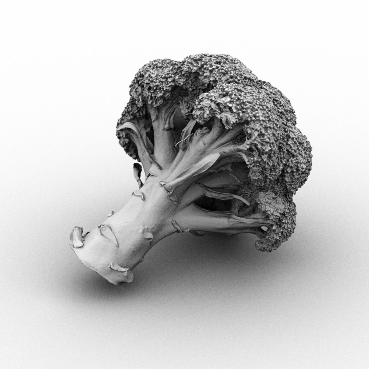 6 Vegetables piece of broccoli Low-poly 3D model_3
