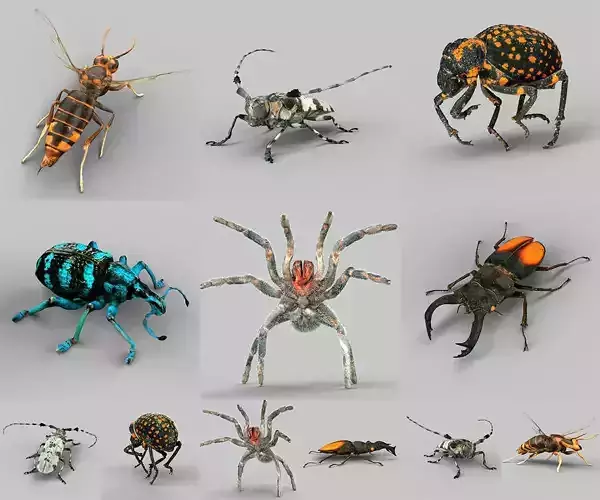 Insect Collection Vol 1 Low-poly 3D model