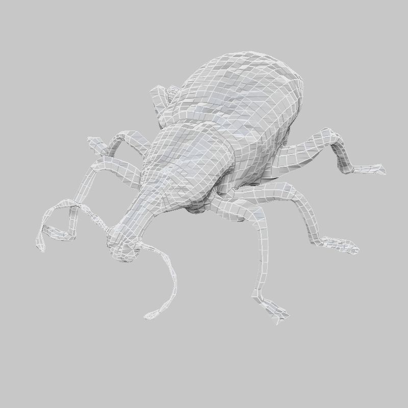 Insect Collection Vol 1 Low-poly 3D model_10