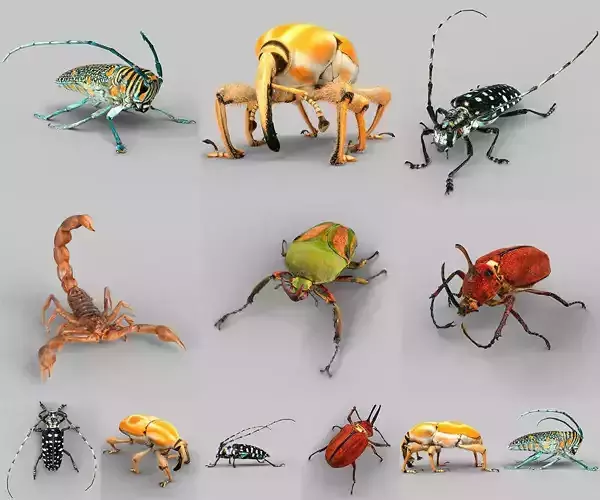 Insect Collection Vol 2 Low-poly 3D model