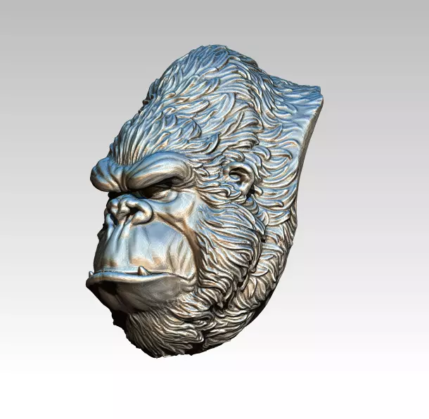 Gorila Monkey Chimp head face bust 3D print model