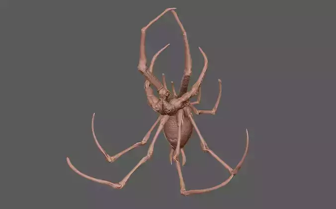 Arachnid Ibrid Human Spider 3D Print 3D print model