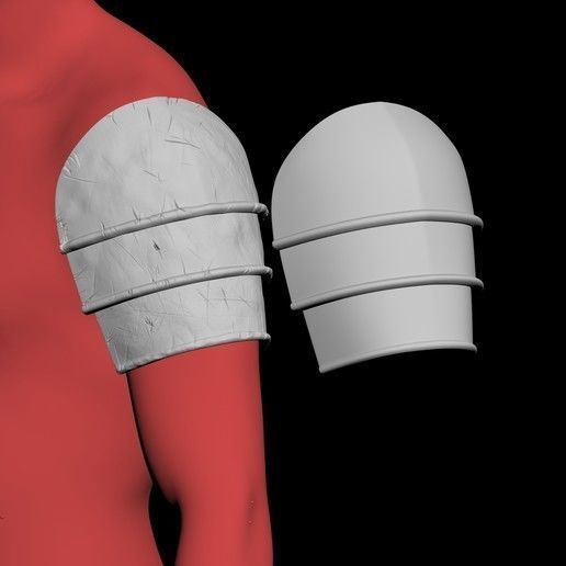 THE WITCHER 3 - CERYS AN CRAITE 3D print model_1