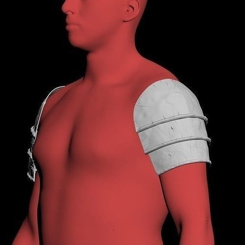 THE WITCHER 3 - CERYS AN CRAITE 3D print model