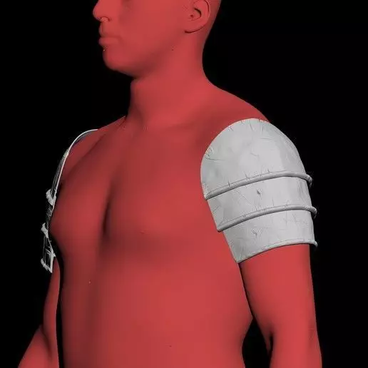 THE WITCHER 3 - CERYS AN CRAITE 3D print model_0