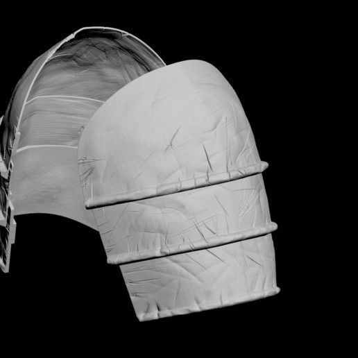 THE WITCHER 3 - CERYS AN CRAITE 3D print model_7