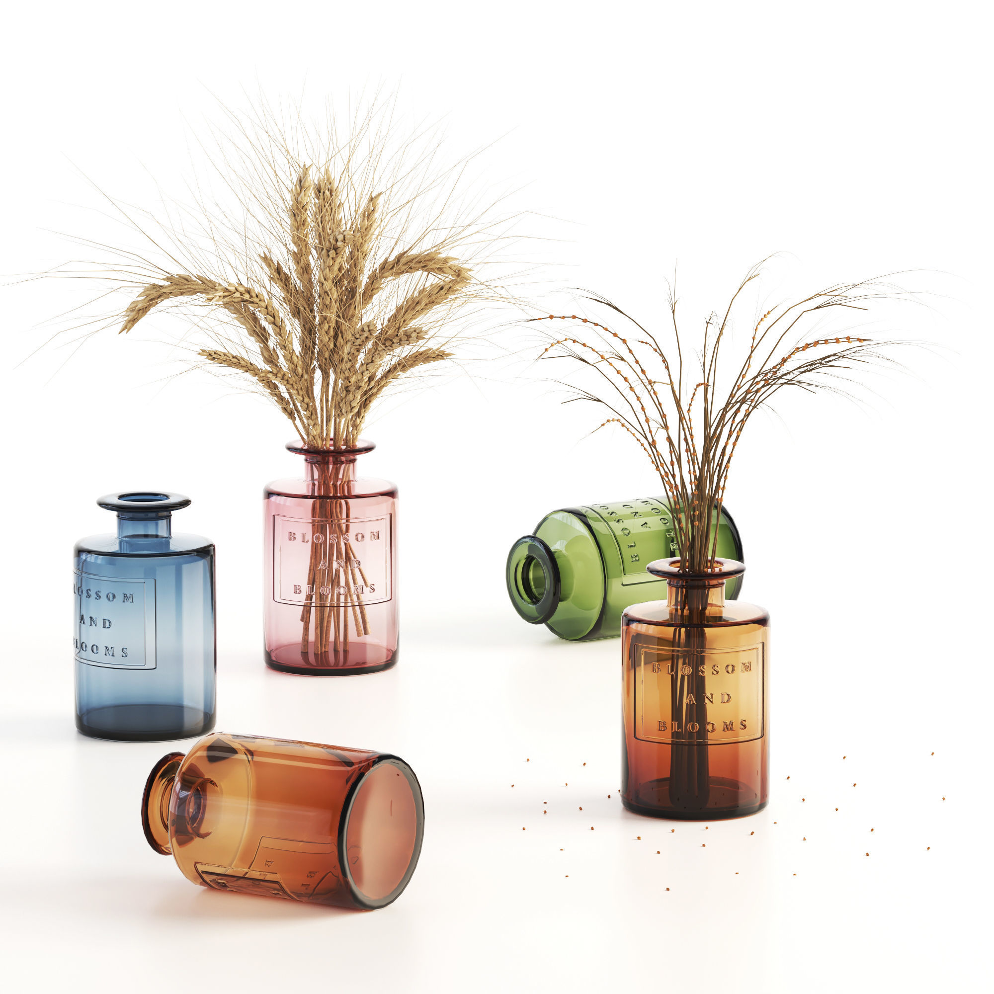 Blossom and Blooms Apothecary Jar with dried flower 3D model_1