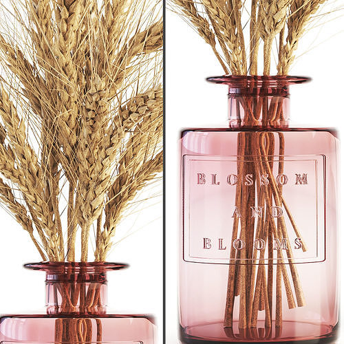Blossom and Blooms Apothecary Jar with dried flower 3D model