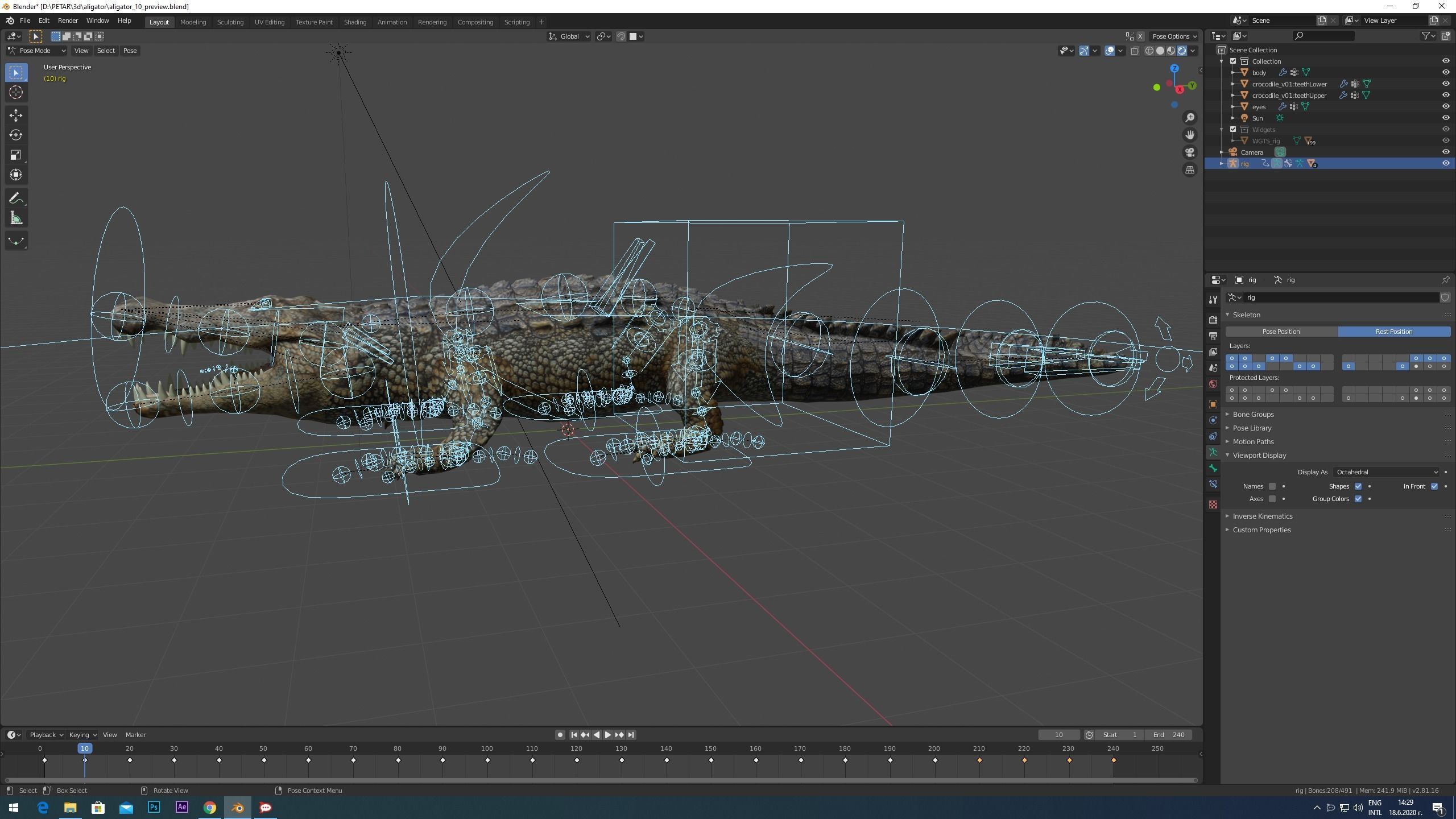 Aligator real measure 3D model_13