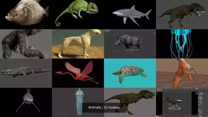 Animals fish with teeth 3D Model Collection
