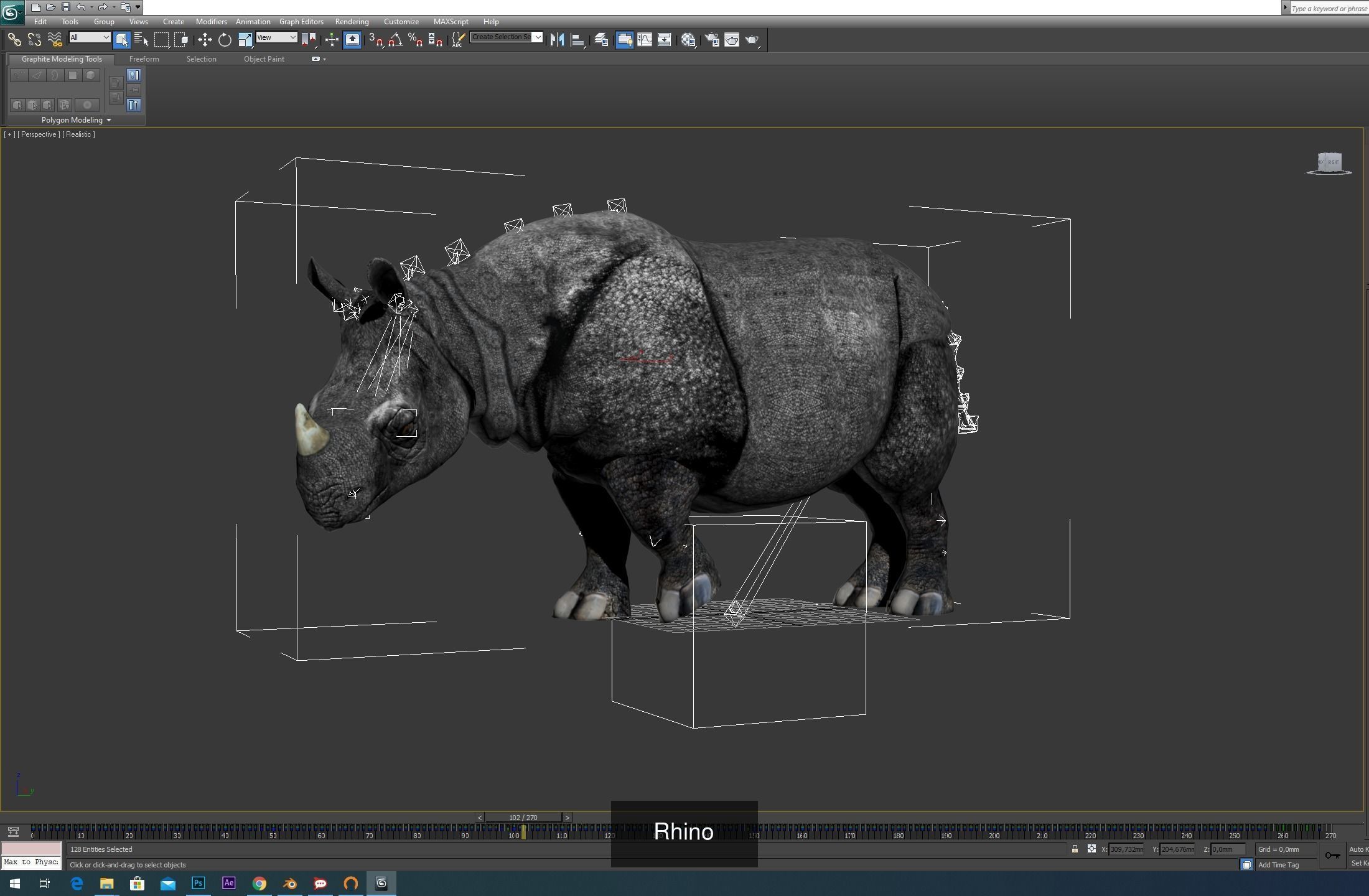 Animals fish with teeth 3D Model Collection_25