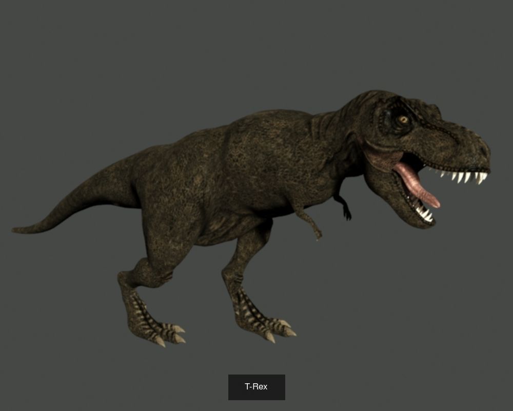 Animals fish with teeth 3D Model Collection_22