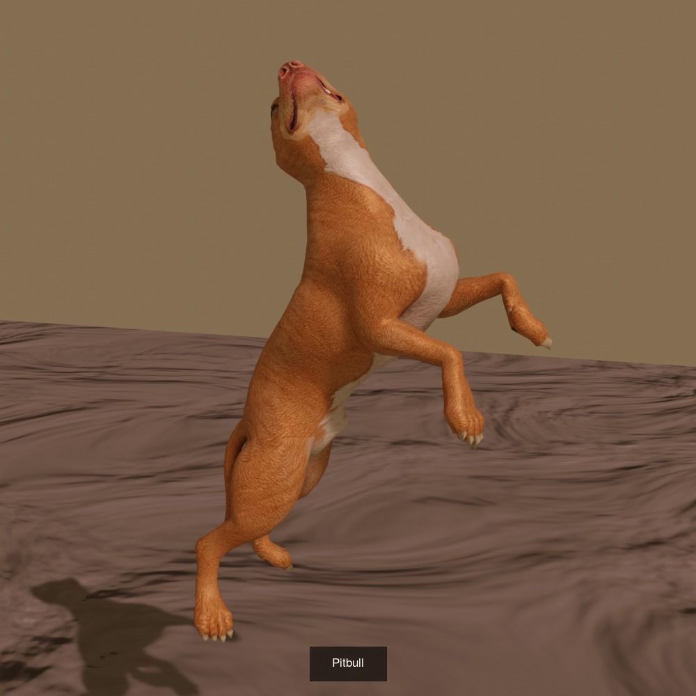 Animals fish with teeth 3D Model Collection_21