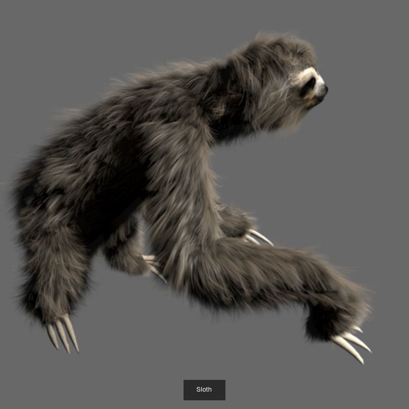 Animals fish with teeth 3D Model Collection_23