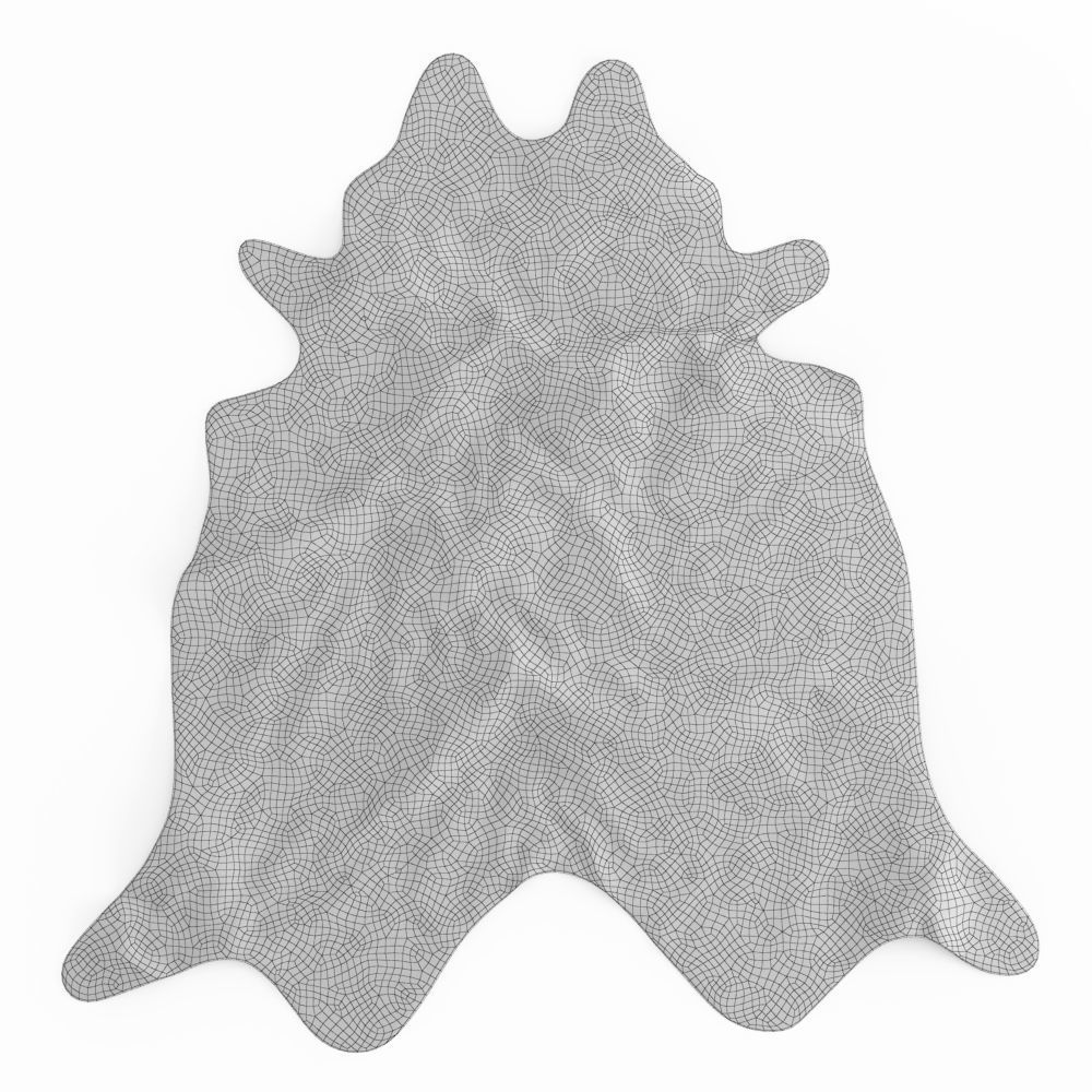 Nine Rugs From Animal Skins 09 3D model_35