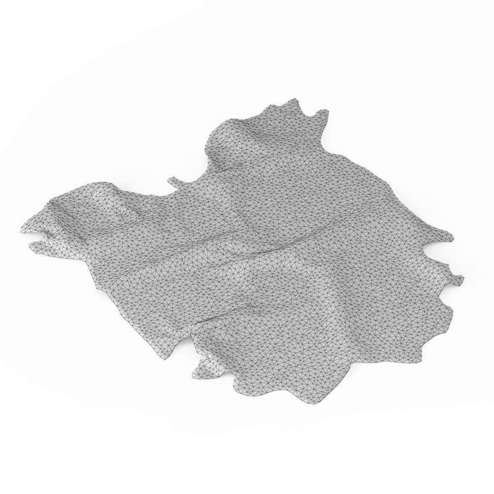 Nine Rugs From Animal Skins 09 3D model_30